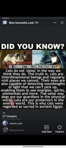 ,                GAkHyqHWIAACt_p