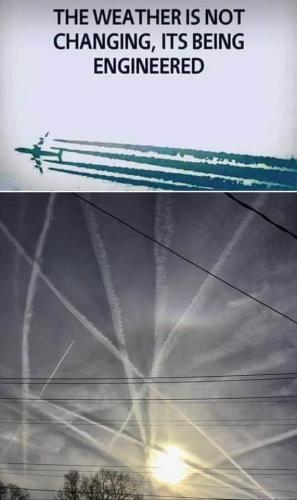 FB_IMG_1705669127251