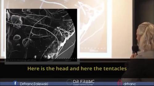 4378F772-C8C1-4BFB-A2C9-28406DD5CAFB