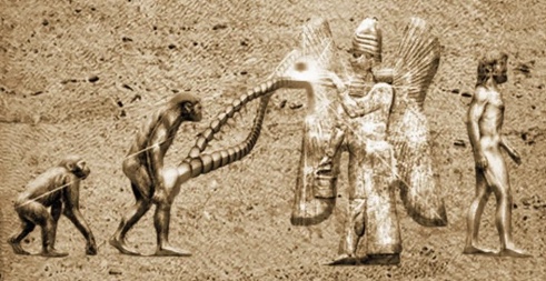 Image 08-02-2024 at 01.10