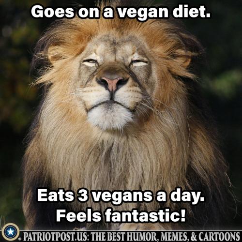 goes on a vegan diet
