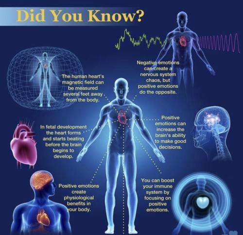 Brain Heart Emotions Toughts