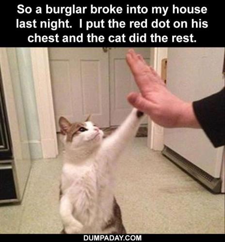 z-Dumpaday-memes-24-7 (1)