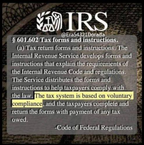 photo_2024-02-10_23-31-52