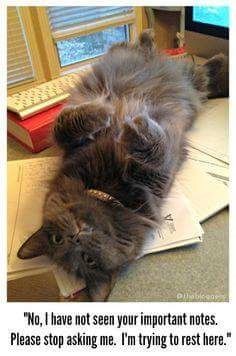 0a28bcda06fdd476143dd7eda4122e44