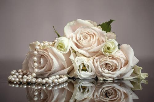 roses-4793497_1280