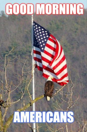 eb8b9a12c8540db8d04c55eb0e1ae230