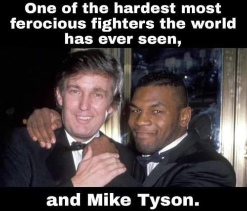 FB_IMG_1708563900174