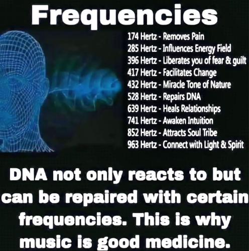 428344826_337033915992706_68360612371481466_n