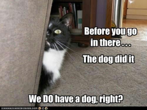 eddc6a11f76946d5a037ef1b2b3ca80d