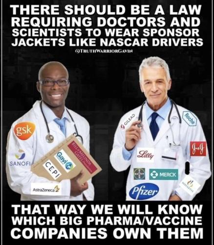 xephula_099045a660385aeaa49947dbab036ec4