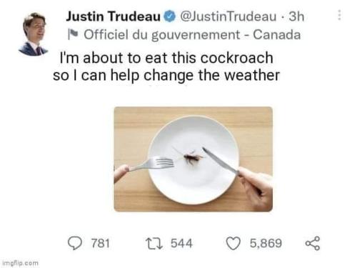 eat crickets