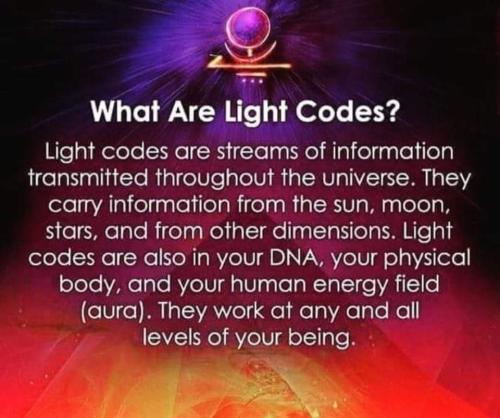 428609089_372578468890991_5272636138838541033_n