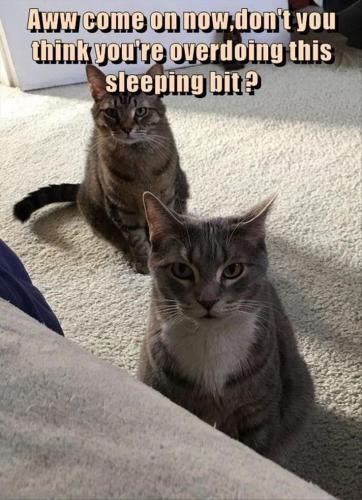 c2953221df78b9848c2ebf5edd09607b