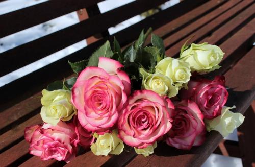 roses-1246490_1280