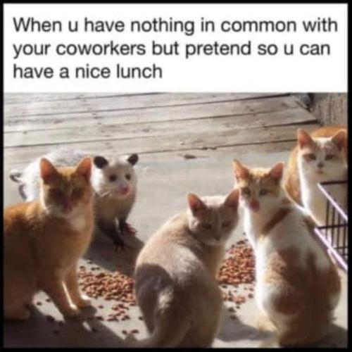 FB_IMG_1707982359339