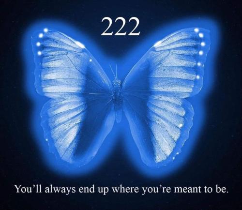 427876628_369039709308448_5408240904900464263_n