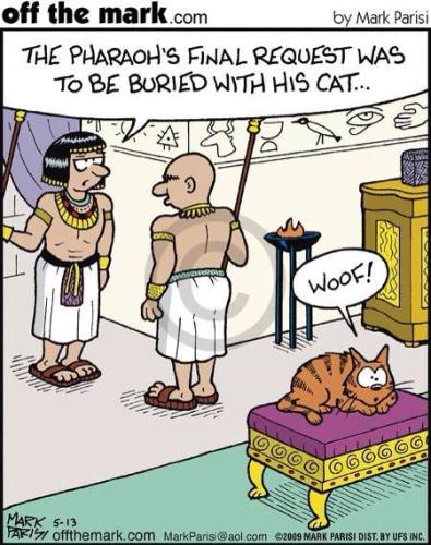 4ec8725776d58eac33eb1d2e58d28a86