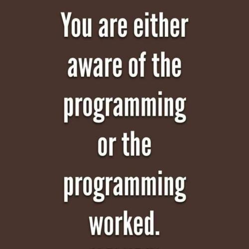 sngine_ac86484fcf826237cc5fa30c12cc7713