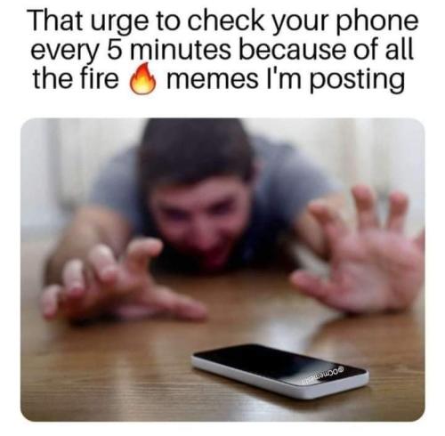 FB_IMG_1708216662187
