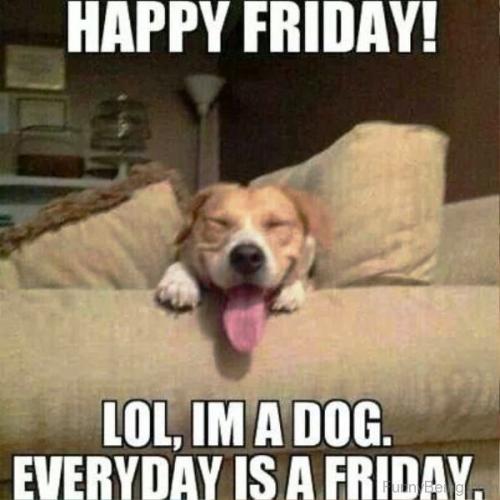 74c06b0a50ac8b6a2a53bbf23db59574