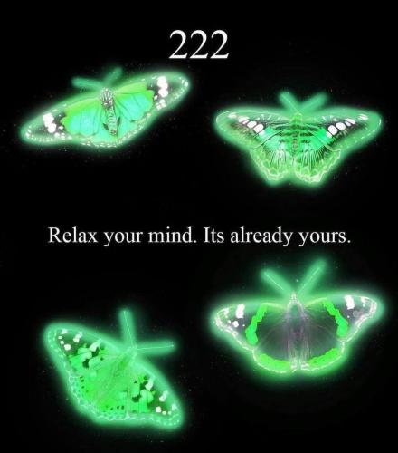 427143023_273241215798031_222407647389617386_n