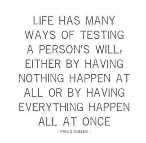 FB_IMG_1708361907301