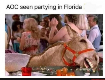 aoc seen partying