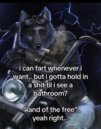 FB_IMG_1694487698540