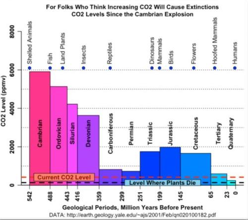 CO2 levels