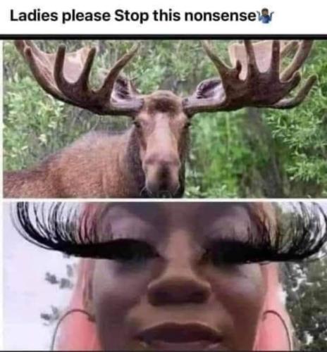 FB_IMG_1707316723351