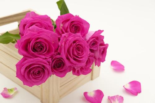 bunch-of-flowers-3158355_1280