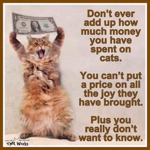 edc6f71698d099f8f45a5fc503efd9fa