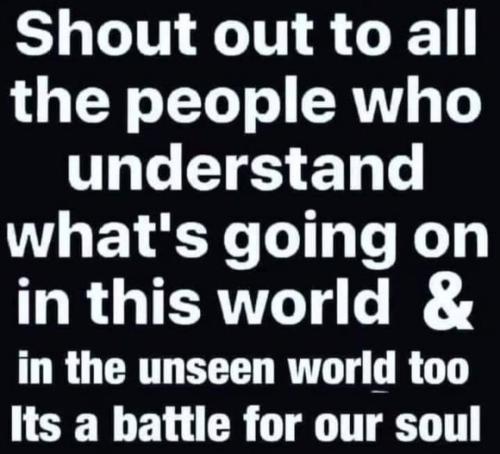 IMG_20240208_221949_567