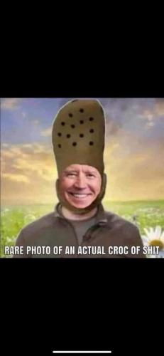 55f4c3e2-cd95-435d-81b4-cef575bbb350