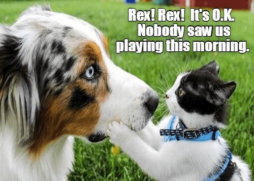 75faa8d10825edd3e06b3d591ce89496