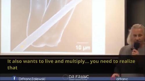 DB5A7557-2C55-46E9-8C90-0733F16122A9