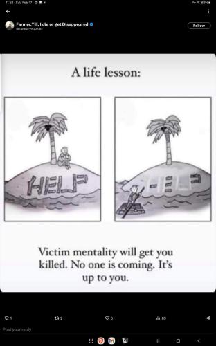 Screenshot_20240217_115801_X