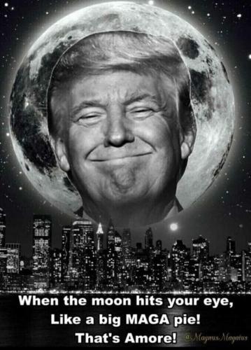 FB_IMG_1707587413527