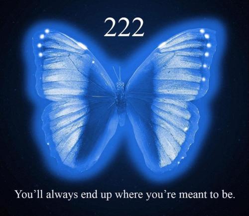 428405444_122139858992084132_363134117250158569_n