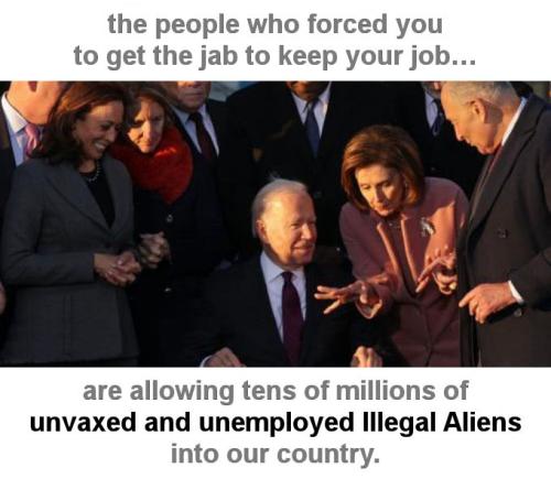 illegal immigration385