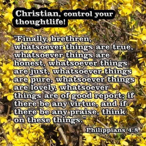 46971250-cbbc-4360-a3fc-58321487b1bb