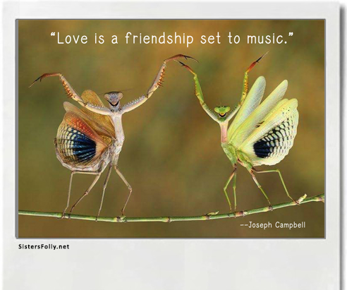 FRIENDSHIP TO MUSIC