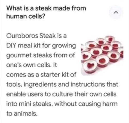 Steak made from human DNA