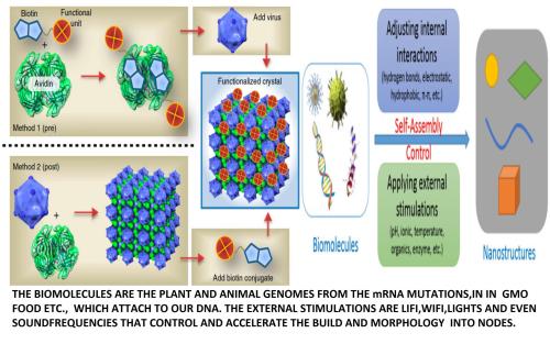 BIO nanomaterials