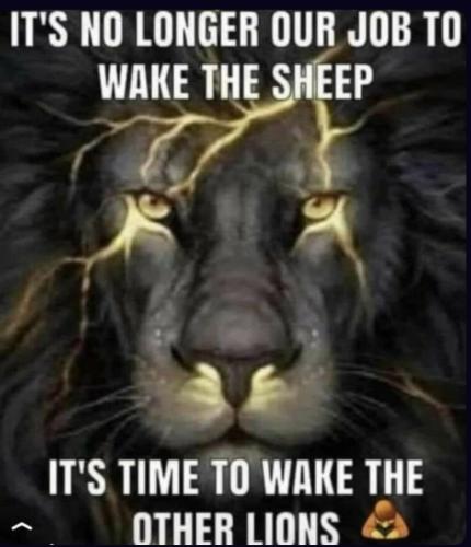 0c9688fb-d037-4c08-8f84-a1335c9f4fc3