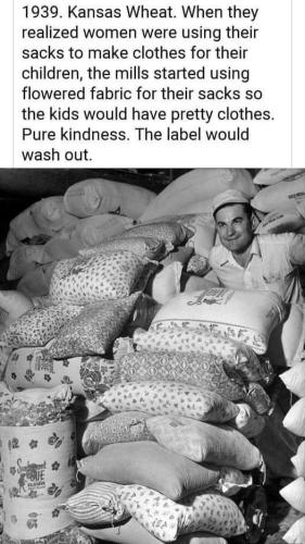 FB_IMG_1706893201812