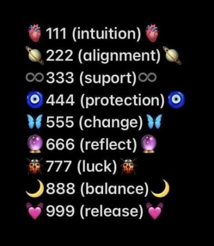 428618106_122128567556139006_6171411724222370762_n