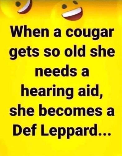 FB_IMG_1707405075100