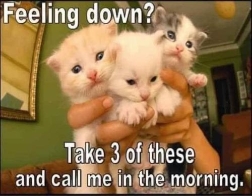 feeling-down-b-take-3-these-and-call-morning